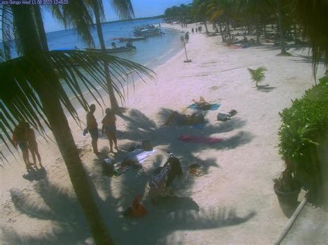 akumal bay webcam|【LIVE】 Webcam Akumal Bay